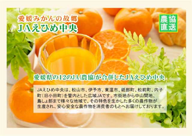 マーケット　JAえひめ中央　PAY　柑橘類　au　ジュース】　愛媛みかんジュース1,000ml　PAY　マーケット店　愛媛県の農協　フルーツ　温州みかんジュース　PAY　6本入の通販はau　果汁100％　au　産直越後屋　マーケット－通販サイト