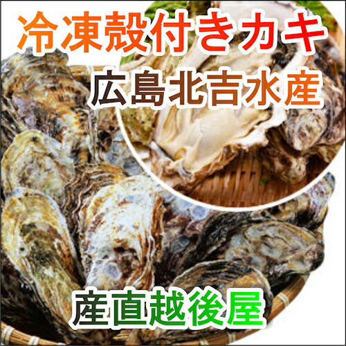 魚介類 水産加工品 貝類 カキ 広島県 呉市 広島カキの老舗 北吉水産の冷凍殻付きカキ 6個入 2パック かき 冷凍食品 ギフト プレゼの通販はau Pay マーケット 産直越後屋 Au Wowma 店