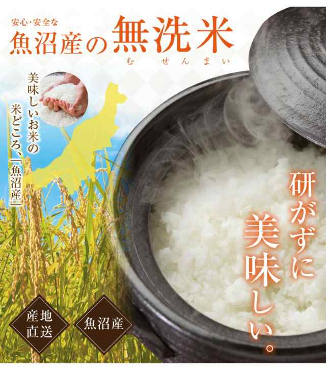 もち米 玄米３０kg 検査証明規格外 - 米・雑穀・粉類