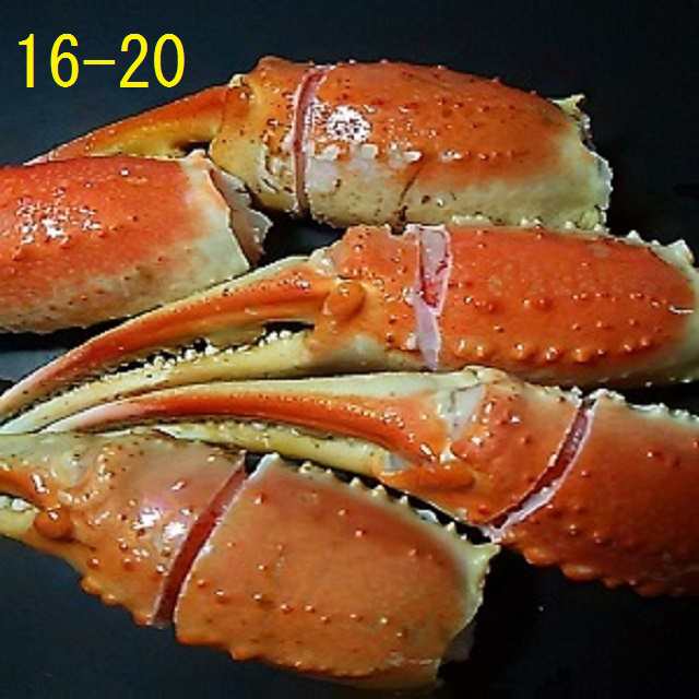 かに爪 カニ爪 ズワイガニ爪 ボイル済 特大サイズ 1kg 16から個 5ｌ相当 お歳暮 ギフト 人気 送料無料 の通販はau Pay マーケット かにの専門店 みやこ