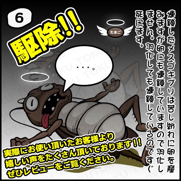 送料無料 メール便 ゴキブリ退治 駆除 効力約6ヶ月 業務用 家庭サイズ お手頃サイズ ゴキちゃんグッバイ6pの通販はau Pay マーケット やんちゃベアー
