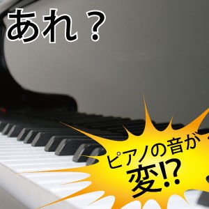 送料無料 ピアノの音が変 置くだけ簡単 あなたのピアノを湿気や錆から守る ピアノ乾燥剤 500ｇ 2p ピアノ乾燥剤 500ｇ 2pの通販はau Pay マーケット やんちゃベアー