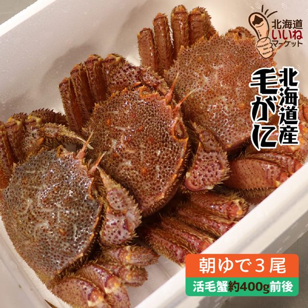 北海道産、活朝茹でボイル毛ガニ、3月から始まります。注文お待ちして  