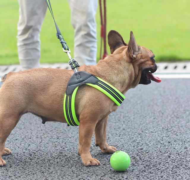 ドッグ ハーネス 中型犬 大型犬 小型犬 安全帯 散歩 胴輪 お散歩グッズ メッシュ 無地 ネコポス送料無料の通販はau Pay マーケット ａｌｌｉｕｍ