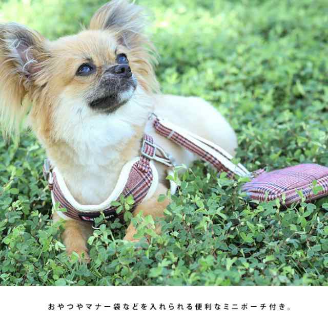 ハーネス リード 犬 ハーネスリード セット 胴輪 犬用 ドッグ 小型犬 おさんぽ お散歩 お出かけ 新作 可愛い ネコポス送料無料の通販はau Pay マーケット ａｌｌｉｕｍ