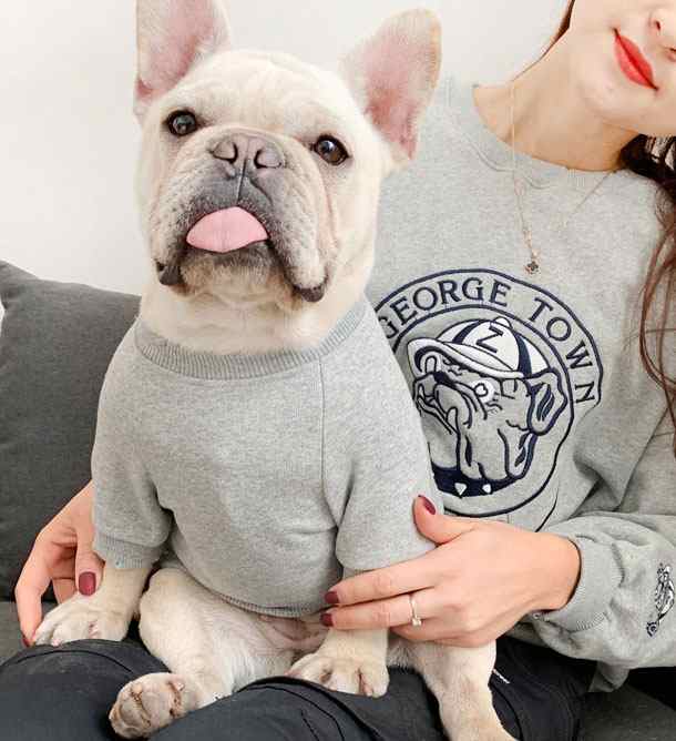 ドッグ Tシャツ トレーナー ドッグウェア 犬の服 犬服 ブルドック ブルドッグ アメカジ 春 秋 冬 小型犬 中型犬 大型犬 ネコポス送料無料の通販はau Pay マーケット ａｌｌｉｕｍ