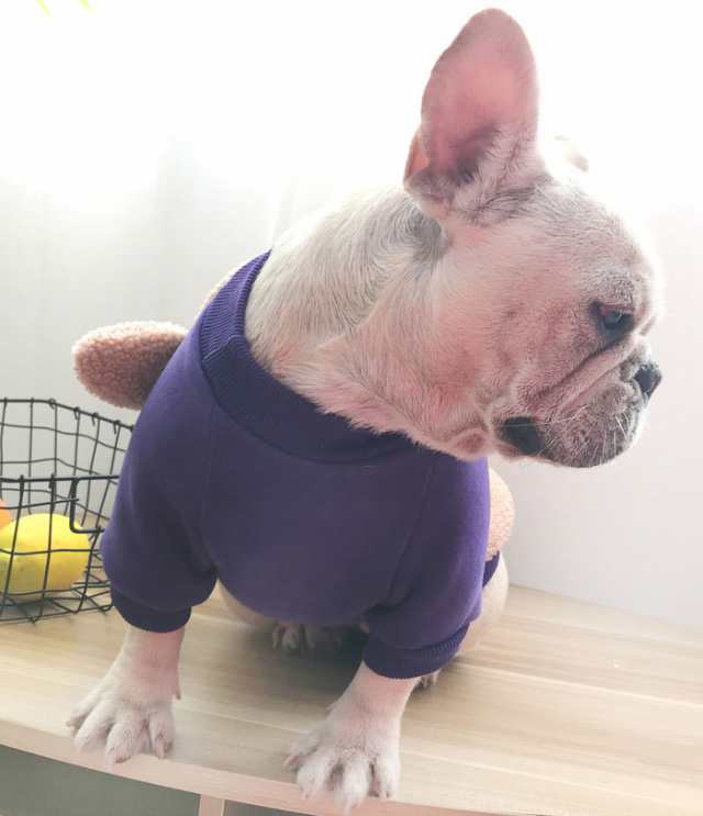 ドッグ Tシャツ トレーナー ドッグウェア 犬の服 犬服 もこもこ モコモコ 春 秋 冬 小型犬 中型犬 大型犬 ネコポス送料無料の通販はau Pay マーケット ａｌｌｉｕｍ