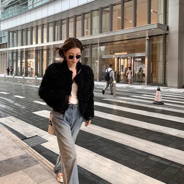 アウター レディース 冬新作 人気 もこもこ プードルファー ジャケット コート ノーカラー アウター レディース 大きいサイズ 韓国 ファッション ブルゾン 大人可愛い 黒 秋 冬 ショート丈 羽織 かわ大 かわ小 アウター レディース 冬新作 人気 もこもこ プードルファー ジャケット