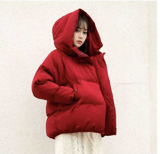 大きいサイズ 全7色 レディース アウター ジャケット ダウン ミディ丈