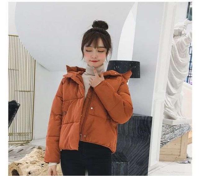 大きいサイズ 全7色 レディース アウター ジャケット ダウン ミディ丈 カジュアル フード付き 通勤 通学 2020秋 2020冬 新着 トレ定 キレナチュ 大きいサイズ 全7色 レディース アウター ジャケット ダウン ミディ丈