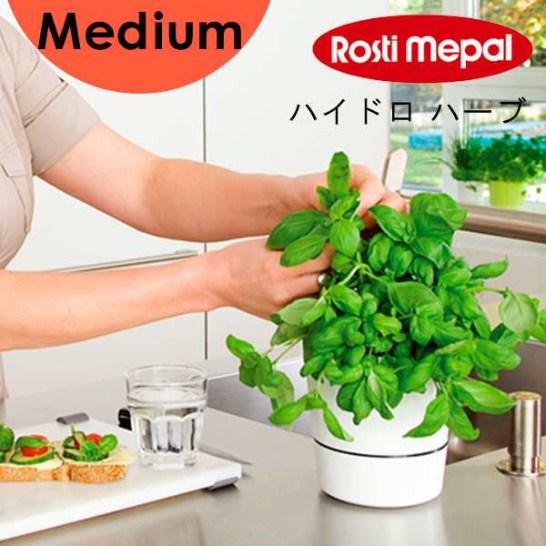 メパル Mepal ハイドロ ハーブ ミディアム M 植木鉢 ポット ガーデニング 庭 観葉植物 水やり の通販はau Pay マーケット あなろ インテリア雑貨