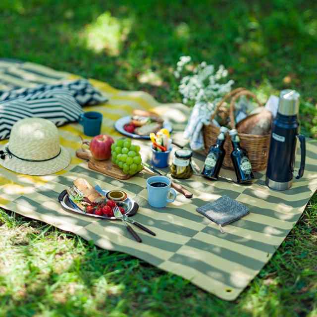 レジャーシート ピクニックラグ Mサイズ コラボレーションデザイン Picnic Rug 山陽製紙 紙 軽量 おしゃれ 可愛い コンパクト の通販はau Pay マーケット あなろ インテリア雑貨