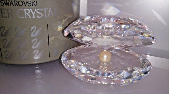 スワロフスキー Swarovski CRYSTAL AQUATIC WORLD SHELL OYSTER WITH PEARL シェル 014389_1