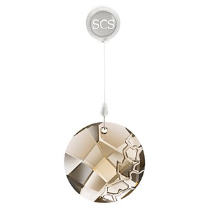 スワロフスキー Swarovski 『2010 SCS Earth オーナメント』 1003284