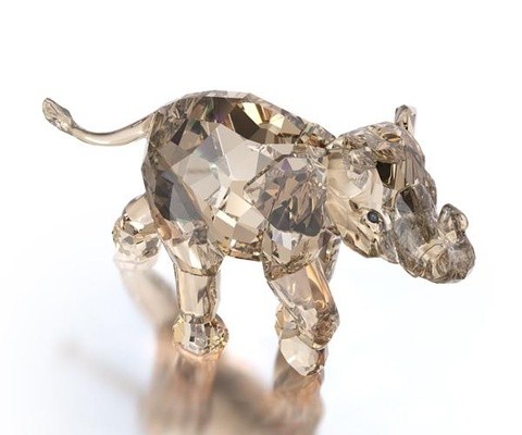 スワロフスキー　SCS 2013　ヤングエレファント スワロフスキーSCS 2013ヤングエレファント