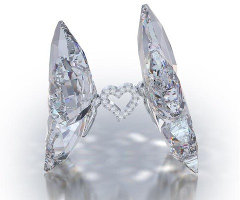 スワロフスキー Swarovski 『Love Butterflies』 1143416