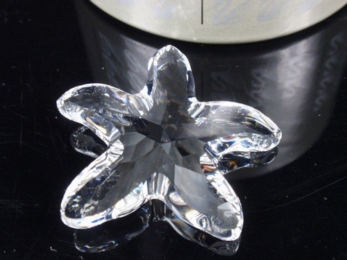 スワロフスキー Swarovski 2003年 廃盤品 『ヒトデ』 191690