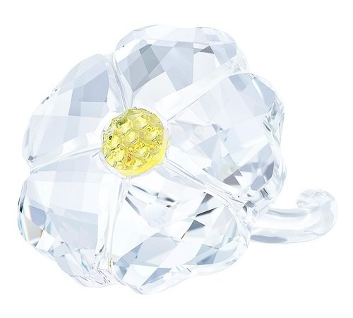 スワロフスキー Swarovski 2017年 SCSメンバー更新特典 『Wild Flower』 5244642