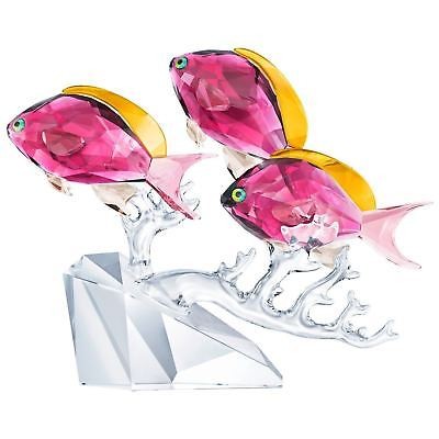 スワロフスキー Swarovski 魚 熱帯魚 3匹のアンティアス 5428652