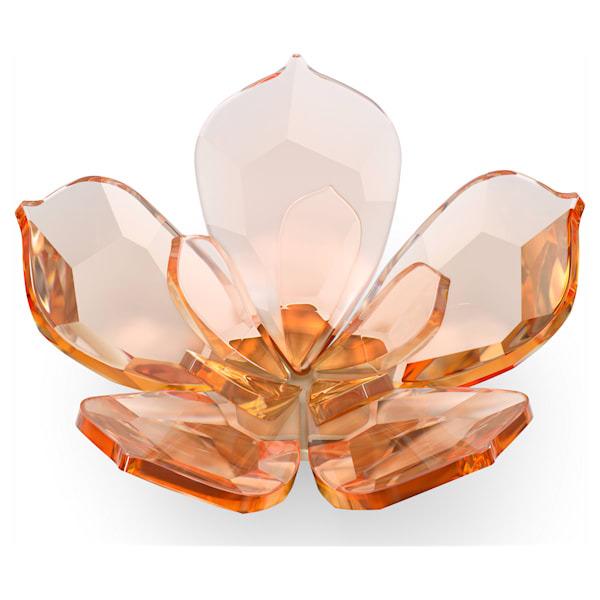 スワロフスキー Swarovski Garden Talesモクレンマグネット（L） 5580028