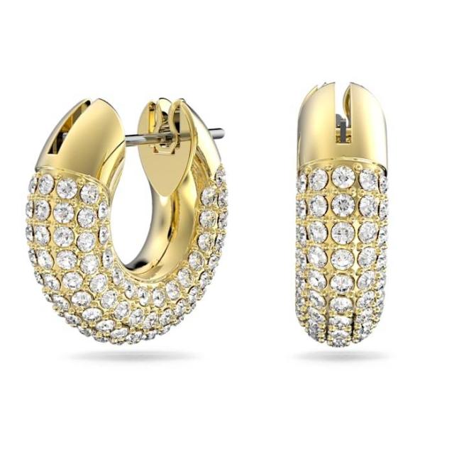 【SWAROVSKI】5636531 Dexter ピアス SWAROVSKI レビュー特典あり スワロフスキー Dextera フープ