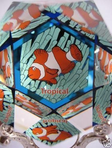 スワロフスキー Swarovski SCS限定品 『Harmony Tropical クマノミ ペーパーウェイト』 835650