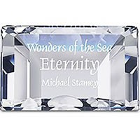 スワロフスキー Swarovski SCS 2006年 『Eternity タイトルプレート』 855626