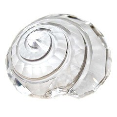 スワロフスキー Swarovski 2007年 SCS限定品 貝 『Top Shell』 880693