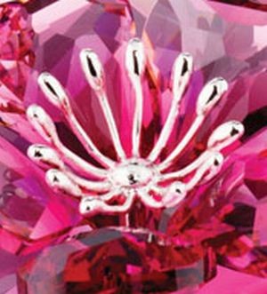 スワロフスキー Swarovski 置物 クリスタル Darose クリスタル
