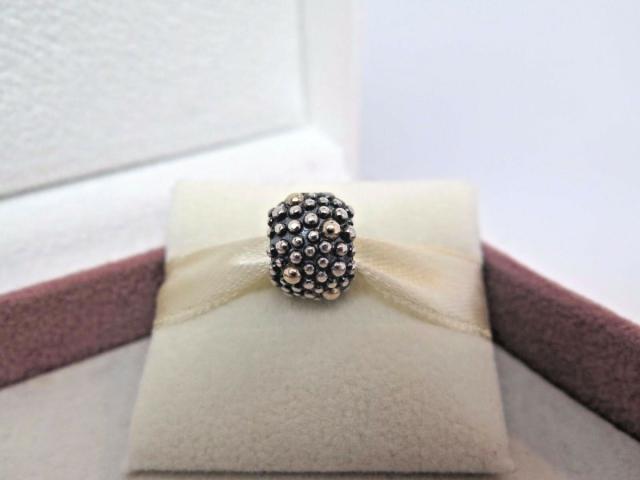 Pandora パンドラ チャーム モスオキシ 2トーン 2 tone w/14Kt Moss Oxi RETIRED Charm レアの通販は