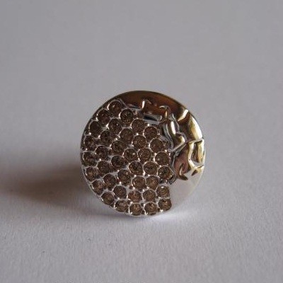 スワロフスキー Swarovski 2010年 SCS限定品 『Tiger Event Earth タックピン』