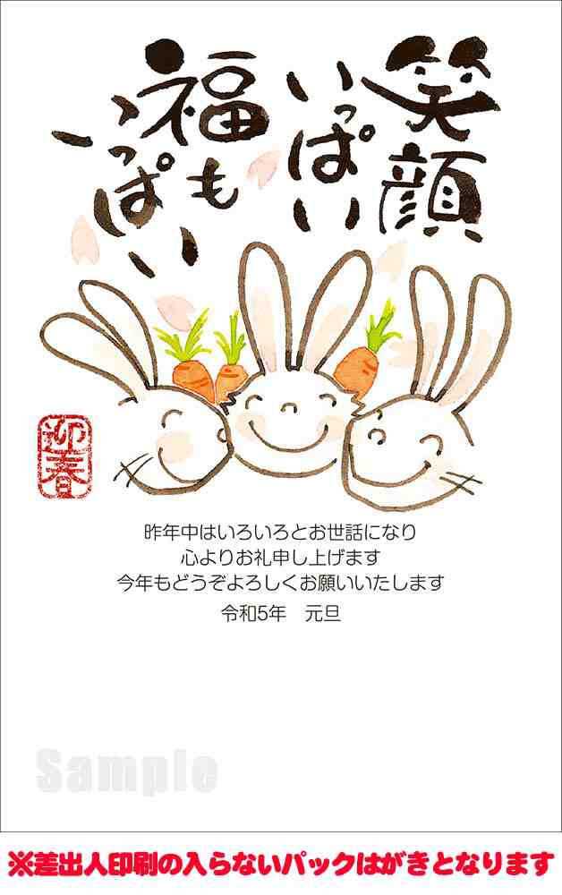全305柄 2023年度版 卯年 郵政お年玉付き年賀はがき(官製年賀葉書