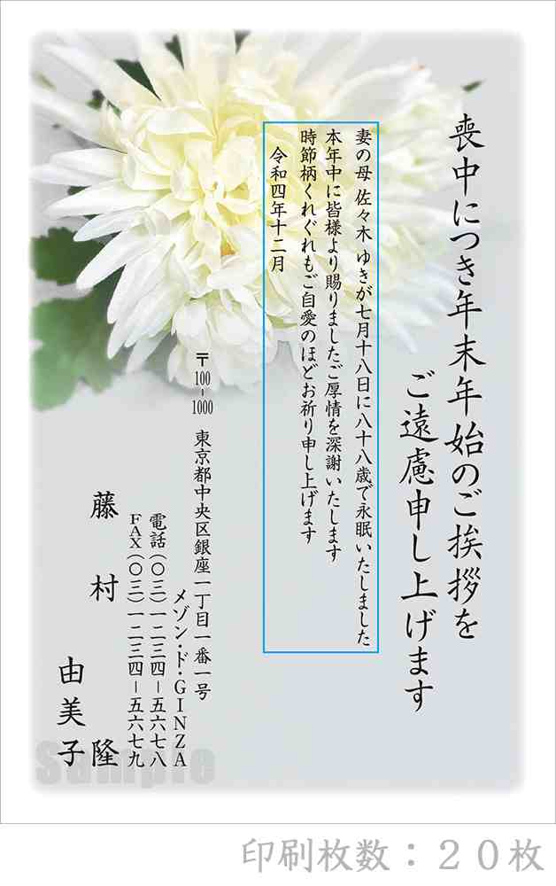 メール便なら送料290円 全90柄 23年度版 喪中はがき印刷 普通郵便はがき 胡蝶蘭 枚 特選デザイン の通販はau Pay マーケット オフィスランド