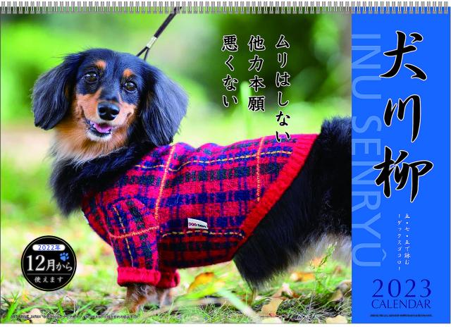 23年 カレンダー ダックス川柳 アートプリントジャパン Apj カレンダー ダックス 川柳の通販はau Pay マーケット オフィスランド