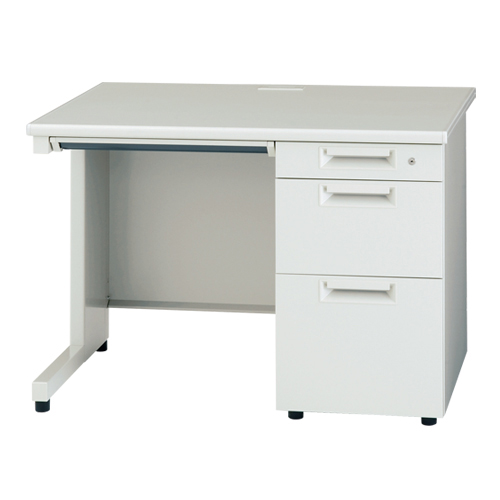 大判 ダウンピロー2個 + 専用ピロケース2枚 (768) 大判 ダウンピロー2個