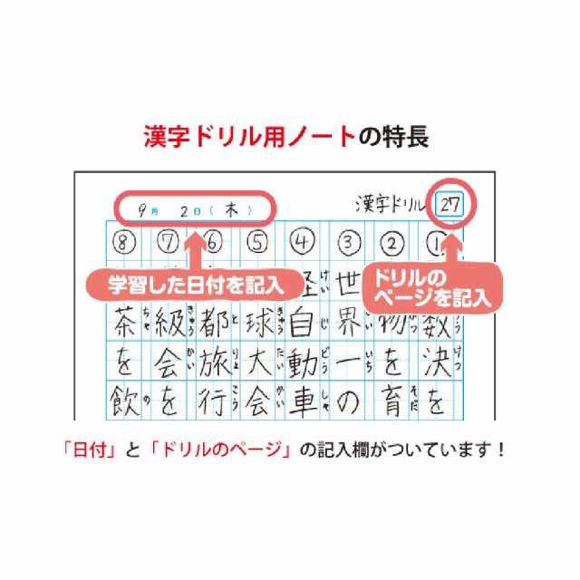 メール便なら送料290円】日本ノート キョクトウ カレッジアニマル学習