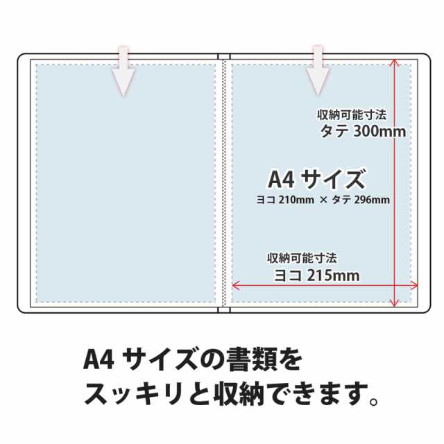 プラス(PLUS) クリアーファイル スーパーエコノミー 溶着式 A4-S 40