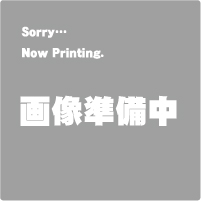 【送料無料！】マックス＜MAX＞サインクリエイター ビーポップ＜Bepop＞ 使い切りタイプインクリボン 紙ラベル専用 SL-R181T カミヨウクロ(IL90550) の通販は 6,699円