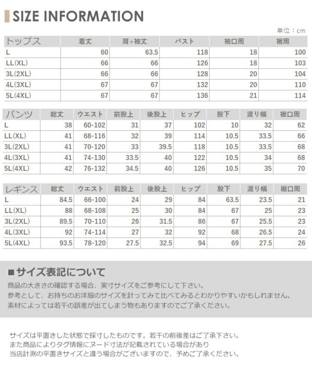 送料無料※沖縄/北海道対象外 大きいサイズ レディース 上下3点セット  