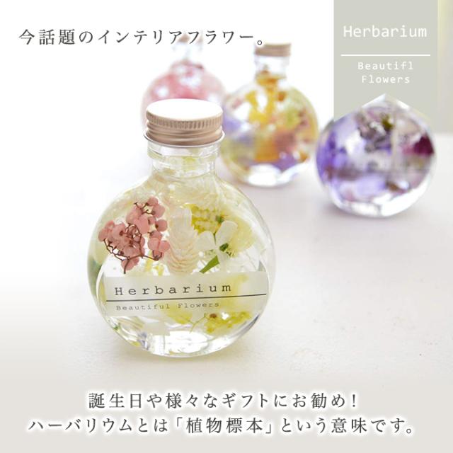ハーバリウム ギフト 花 フラワー プレゼント プリザーブドフラワー 植物標本 ドライフラワー 誕生日 送料無料 父の日の通販はau Pay マーケット Reve