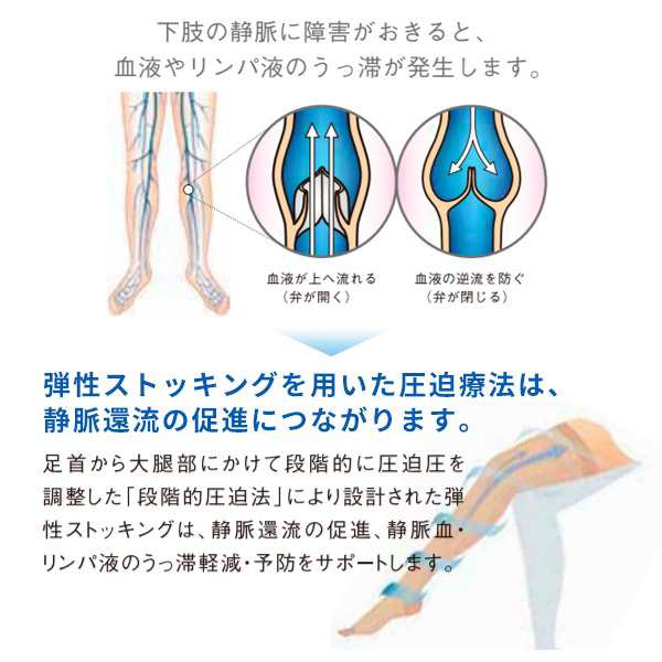 医療用 CV ストッキング（膝下タイプ） 一般医療機器 弾性ストッキング