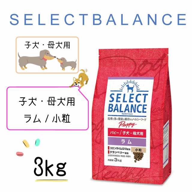 SALE／91%OFF】 セレクトバランス パピー チキン 小粒 仔犬 母犬用 3kg