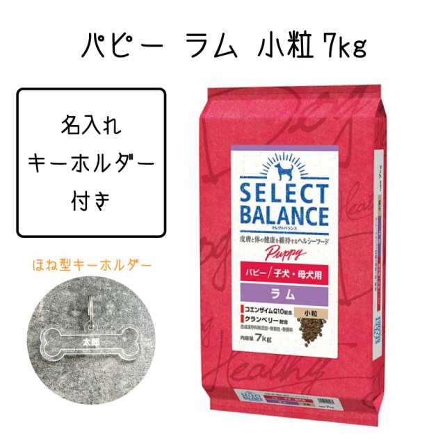 名入れ キーホルダー 付き】 セレクトバランス パピー ラム 小粒 子犬