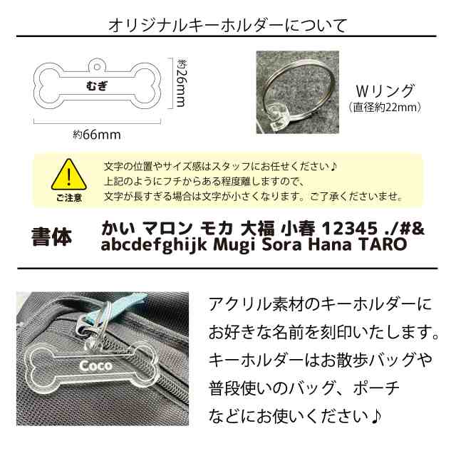 名入れ キーホルダー 付き】 アカナ ドッグフード パピー ラージ