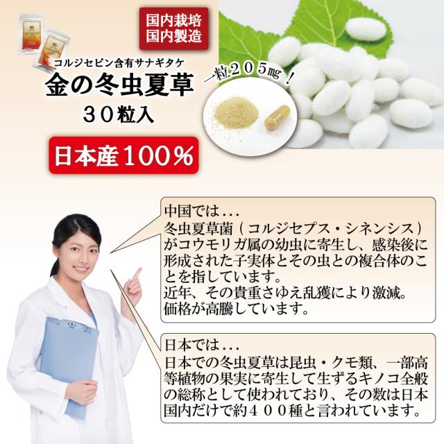冬虫夏草 国産 日本産100％冬虫夏草 コルジセピン含有サナギタケ