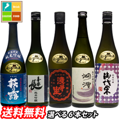 送料無料 滋賀の地酒 うち呑み純米吟醸酒 5蔵元のお酒から選べる選り取り720ml×6本セット