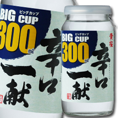 送料無料 黄桜 辛口一献300mlビッグカップ×1ケース（全20本）