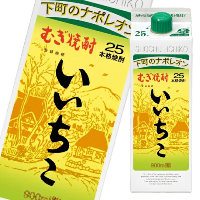 いいちこ　2 ケース 送料無料 いいちこ 25度 900mlスリムパック×2ケース（全12本）の