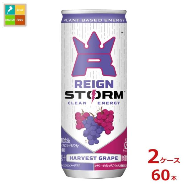 送料無料 アサヒ レインストーム ハーベストグレープ250ml缶×2ケース（全60本）【to】