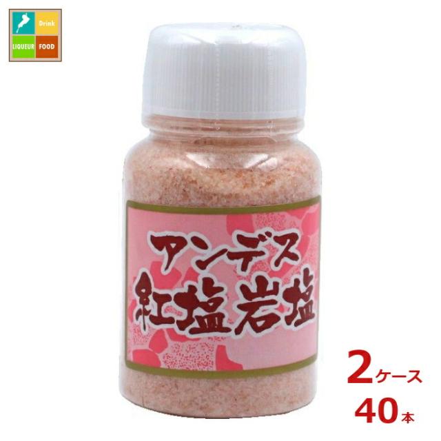 送料無料 味研 アンデスの紅塩岩塩 卓上200g×2ケース（全40本）